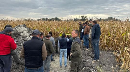 Nem elég vetni: előbb a talajt kell meggyógyítani + VIDEÓ