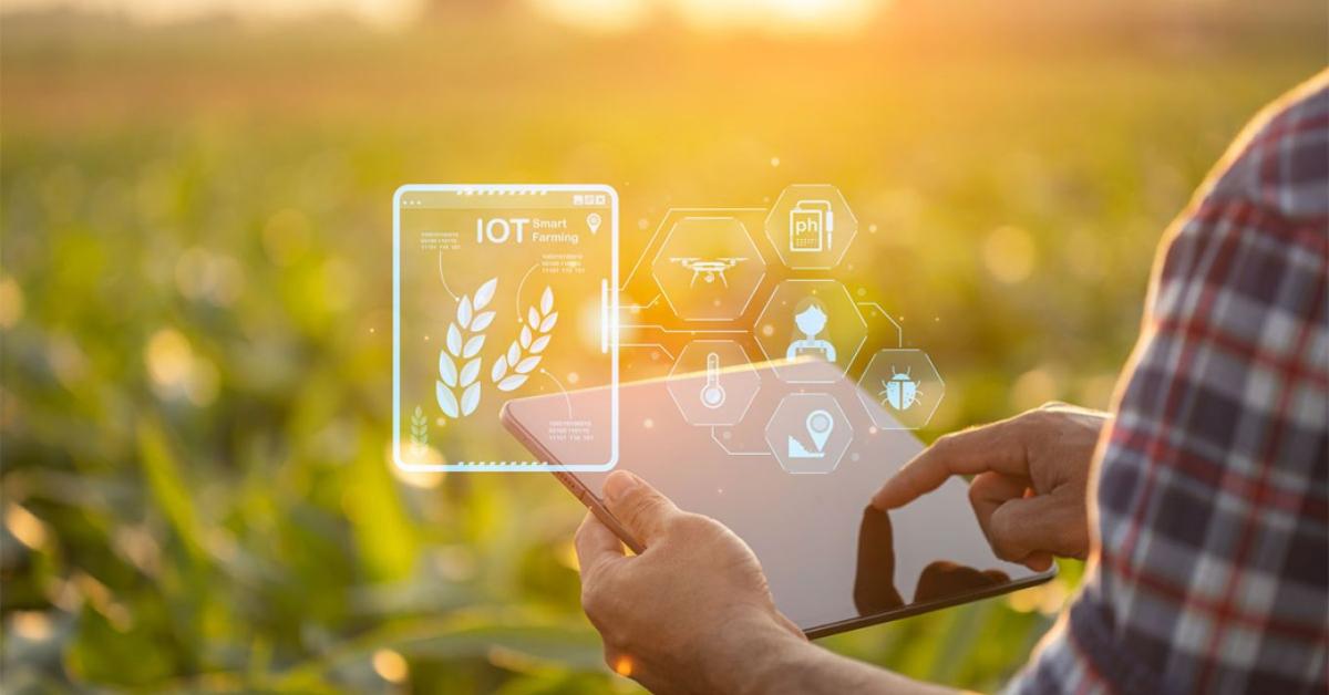 Az adat a gazda legfontosabb eszköze: így segít az IoT