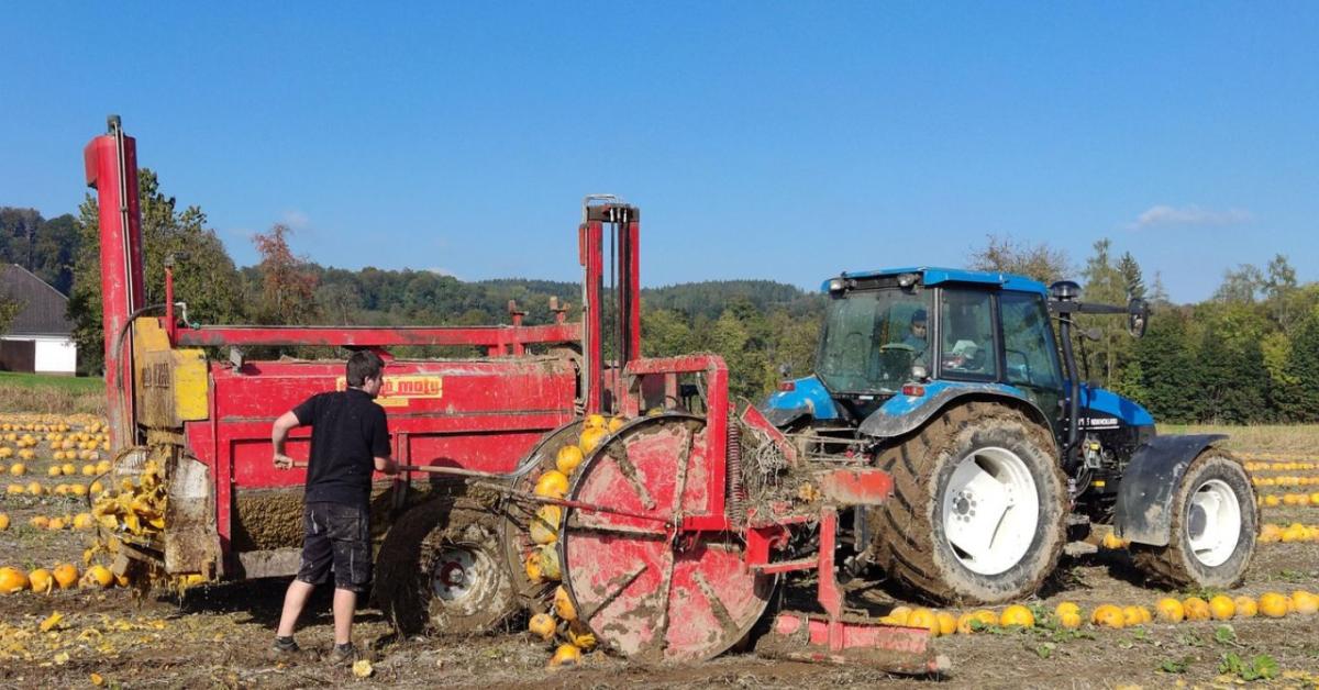 7 napos időjárás-előrejelzés: Fordulóponthoz értünk... 7 napos időjárás-előrejelzés: Fordulóponthoz értünk...