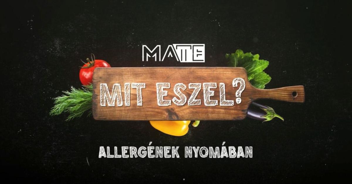 Ha egy falat is elég a bajhoz – Allergének a mindennapokban