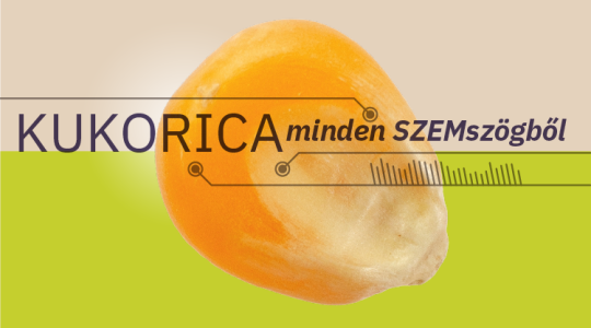 Kukorica minden SZEMszögből – Agroinform webinárium