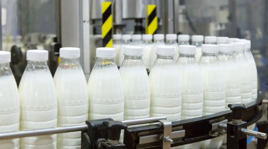 Állami kézbe kerülhet az Alföldi Tej – Megkezdődtek a tárgyalások
