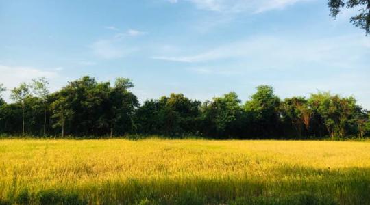 Ezért nélkülözhetetlenek a rétek a modern agráriumban