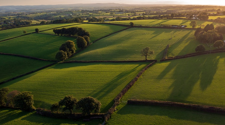 anglia
