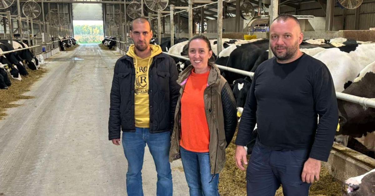Kockázat helyett kiszámíthatóság – Egy tehenészet újratervezése 