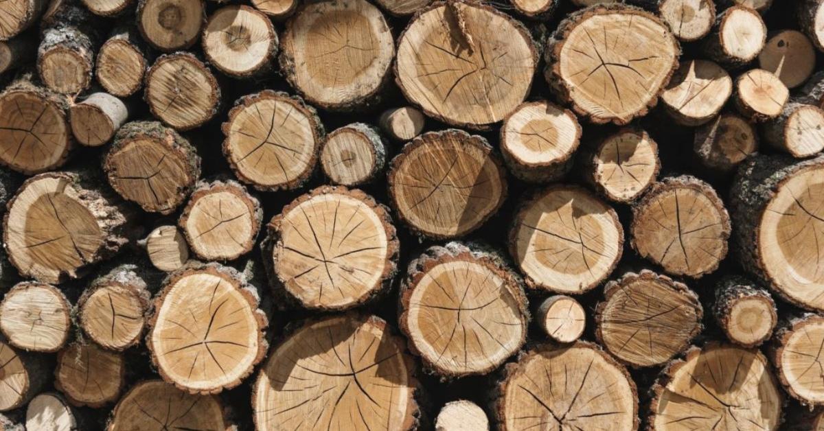 Múlt és jövő találkozása: három évtizedes lett a FAEKA