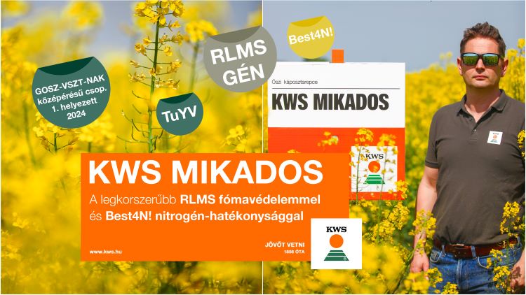 KWS MIKADOS hibrid repce