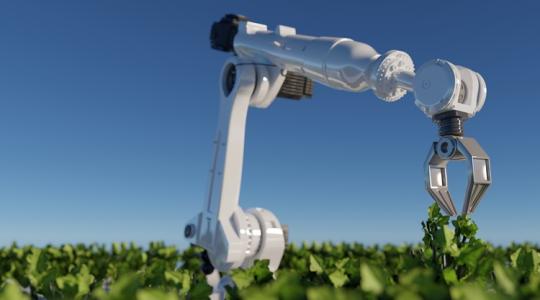 Robotok a földeken – ezt minden gazdának tudnia kell Robotok a földeken – ezt minden gazdának tudnia kell