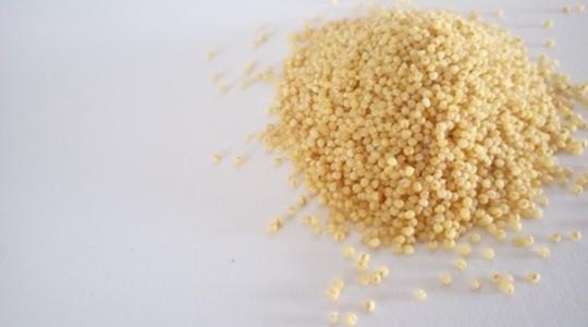 Tudj meg mindent a köles termesztéséről és felhasználásáról!