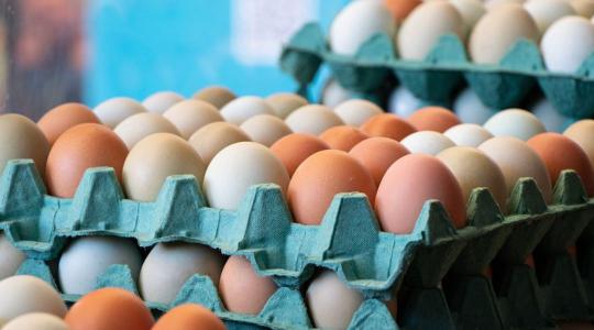 Tojás a konyhában: biztonságos tárolás lépésről lépésre