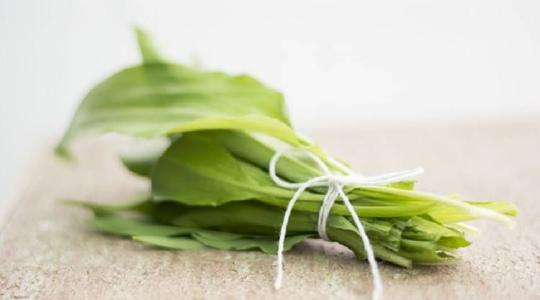 Medvehagyma a kertedben: egészséges, ízletes és könnyen termeszthető