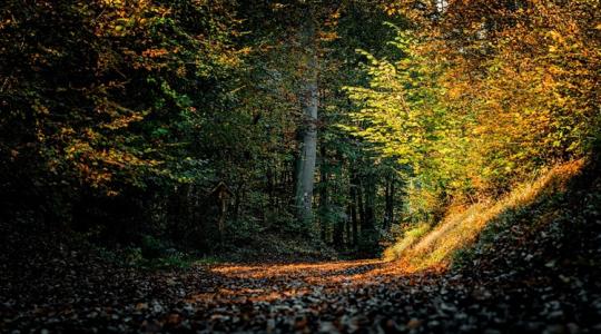 Időjárás: Jön a borongós fordulat +VIDEÓ