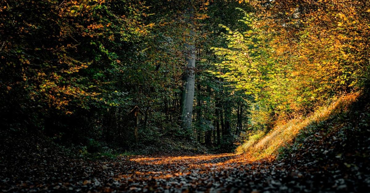 Időjárás: Jön a borongós fordulat +VIDEÓ
