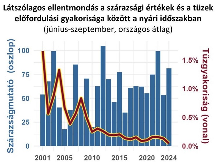 tűz