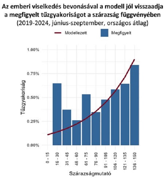 tűz