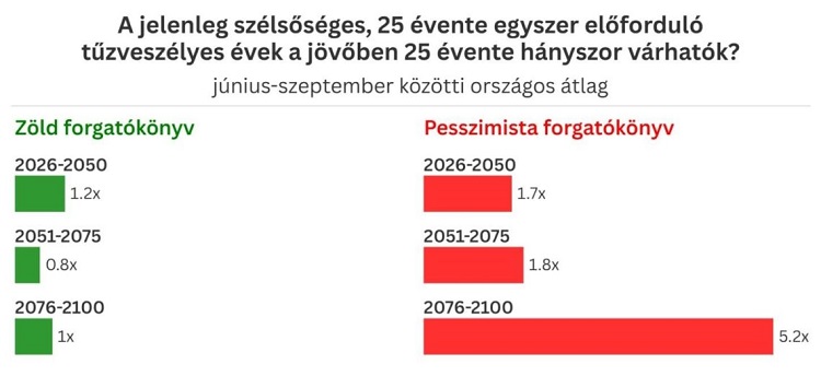 tűz