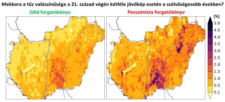 tűz