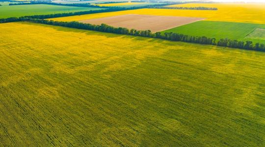 Erre minden gazdának szüksége lesz: hasznos agrárinformációk az MBH Banktól Erre minden gazdának szüksége lesz: hasznos agrárinformációk az MBH Banktól