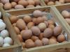 Határ a csillagos ég: meddig pörögnek a tojásárak?