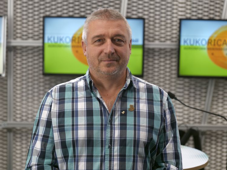 kukorica