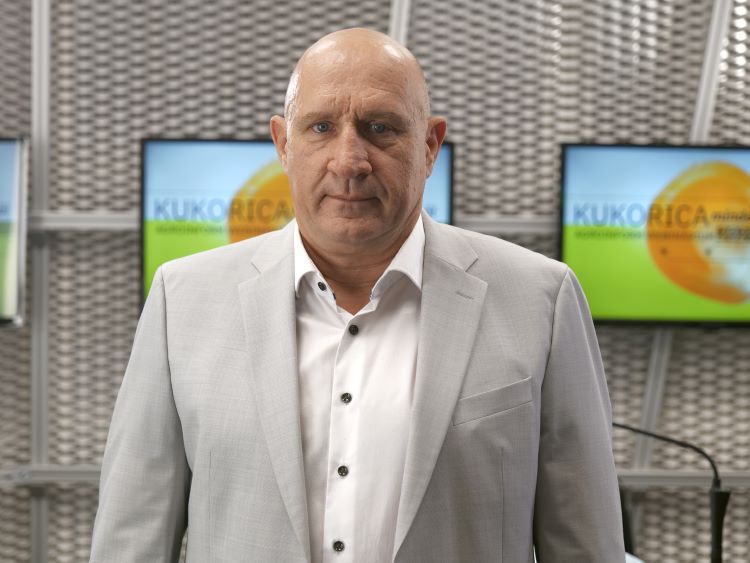 kukorica