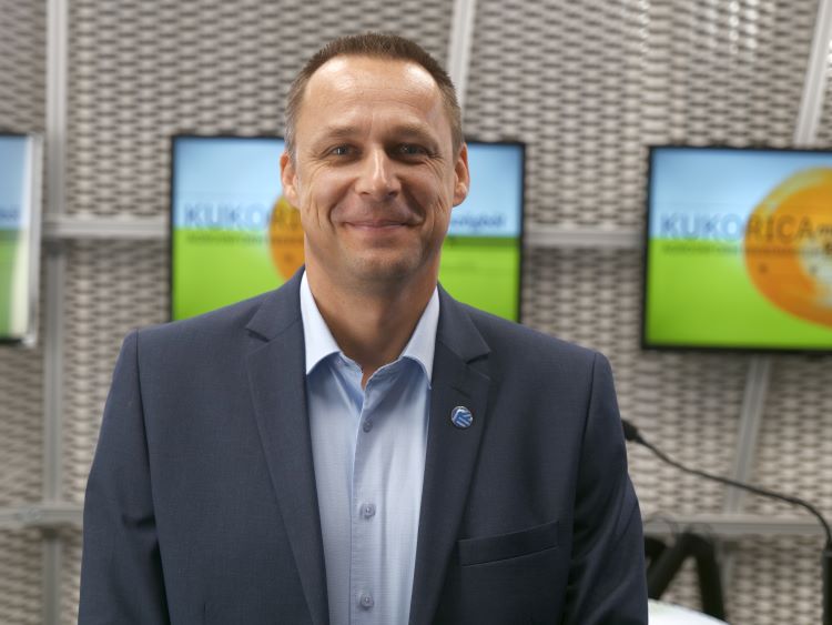 kukorica