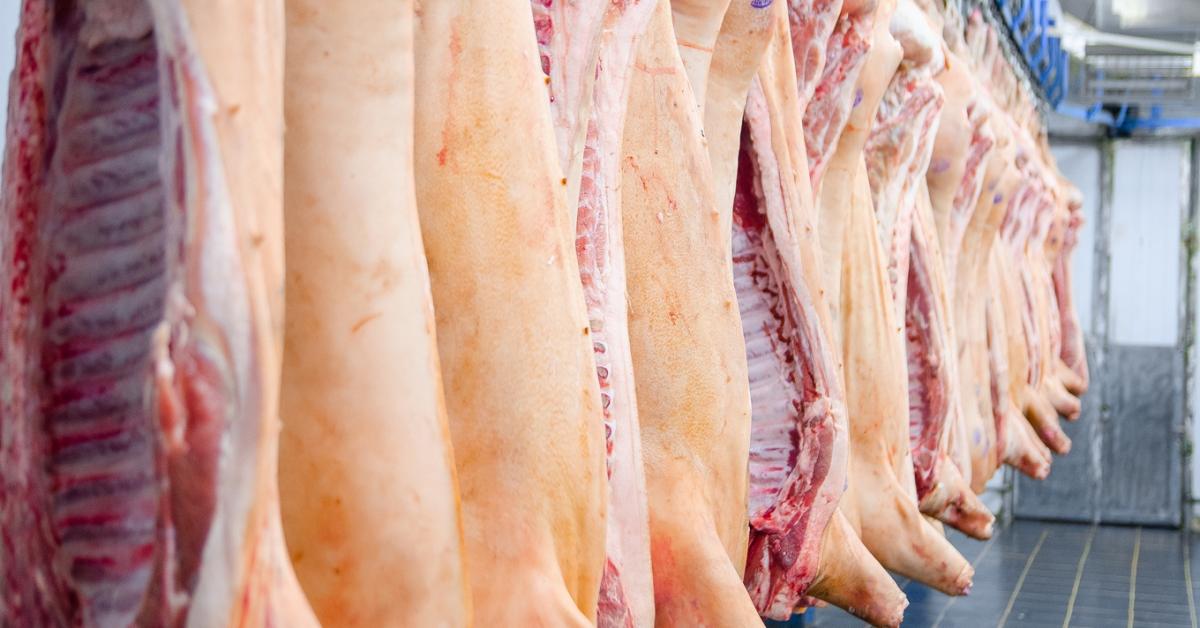 Történelmi csúcsra emelte sertéshús-exportját ez az ország Történelmi csúcsra emelte sertéshús-exportját ez az ország