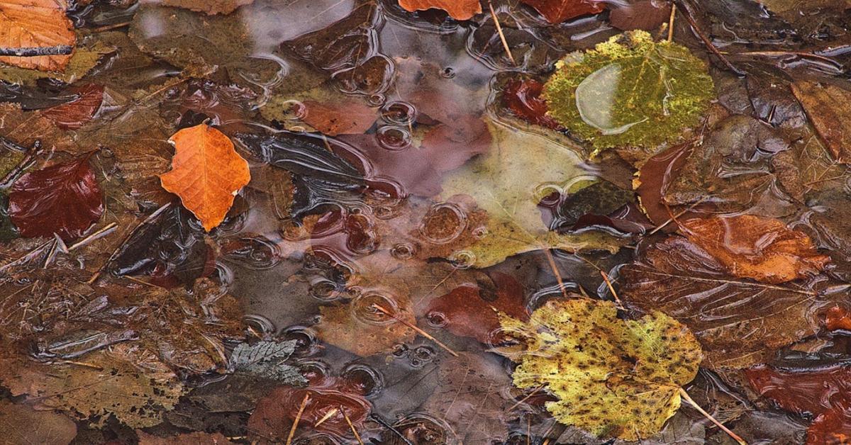 Időjárás: Fordul a kocka, most jön az ősz neheze +VIDEÓ Időjárás: Fordul a kocka, most jön az ősz neheze +VIDEÓ