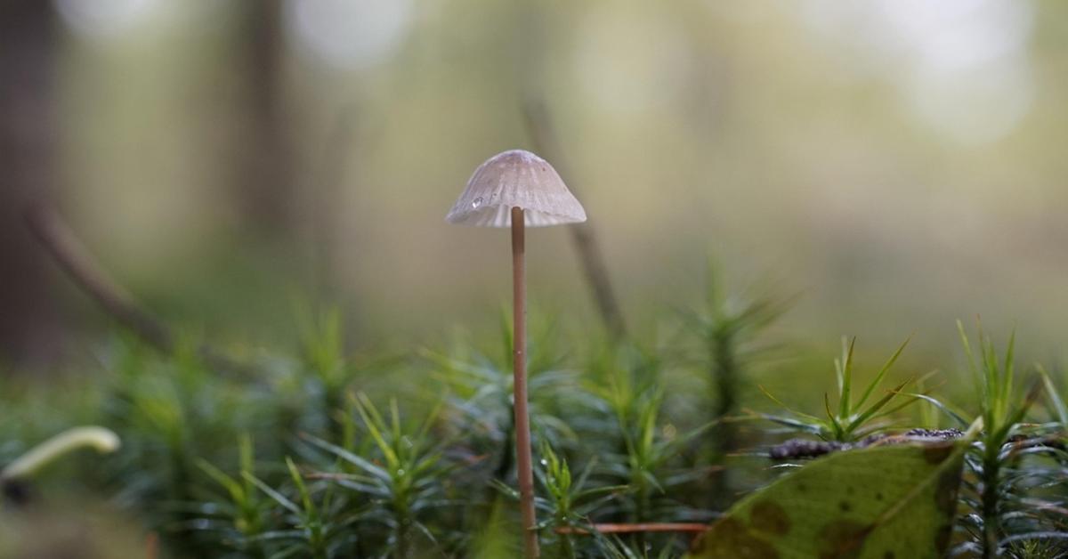 A meglepetések hete – mutatjuk, milyen időre számíthatunk A meglepetések hete – mutatjuk, milyen időre számíthatunk