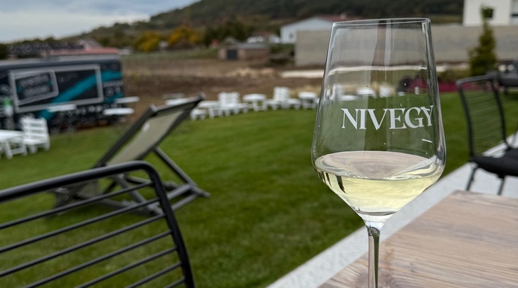 nivegy