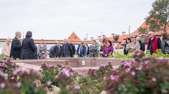 Okoskertben terem a sajtba szánt fűszer Okoskertben terem a sajtba szánt fűszer