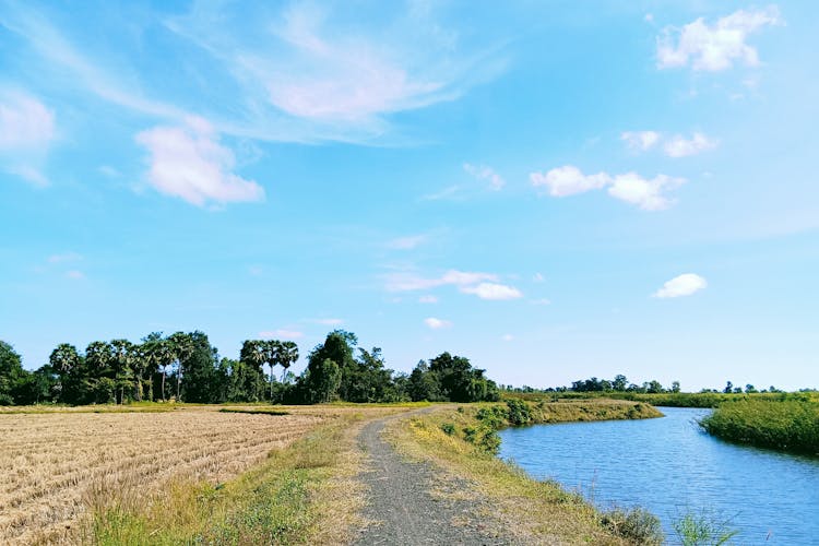 víz