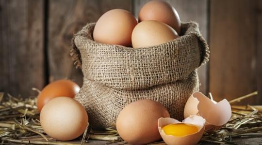 A tojás útja a farmtól az asztalig – amit mindenkinek tudnia kell