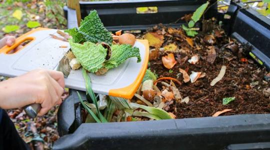 Hogyan válassz vagy építs komposztálóládát a kertedbe?