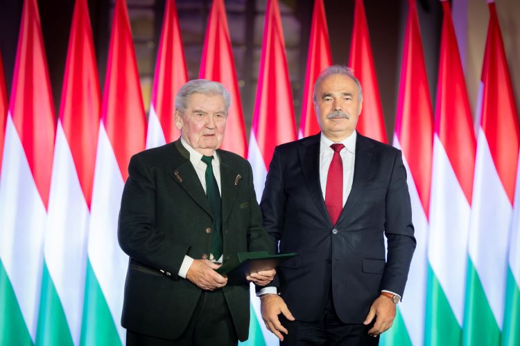Nagy István
