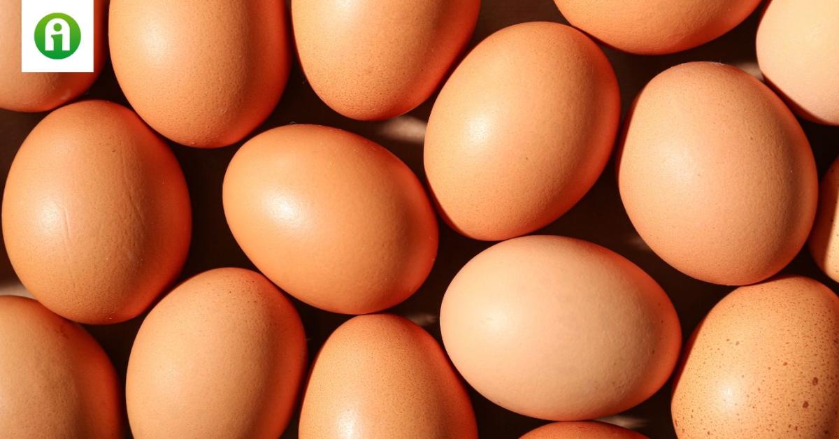 Közeledik a húsvét, erősen emelkedik a tojás ára Közeledik a húsvét, erősen emelkedik a tojás ára