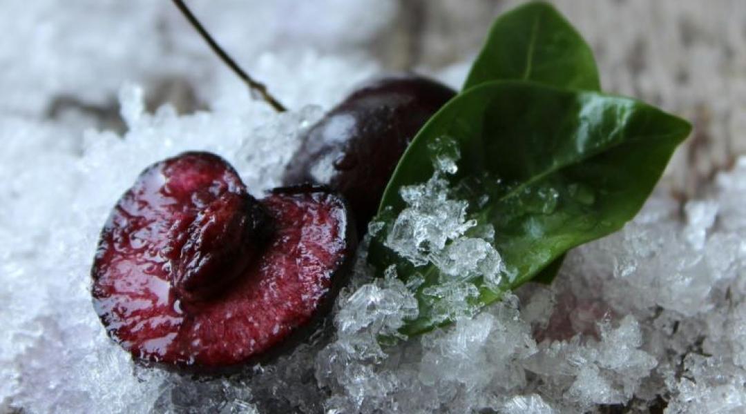 Új pályázat a tavaszi fagykárok megelőzésére – november 20-tól lehet benyújtani az igényeket