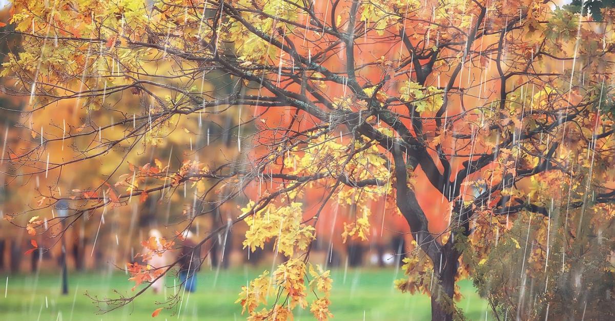 Időjárás: Újra elázunk, és a szél is erősebb fokozatra kapcsol +VIDEÓ
