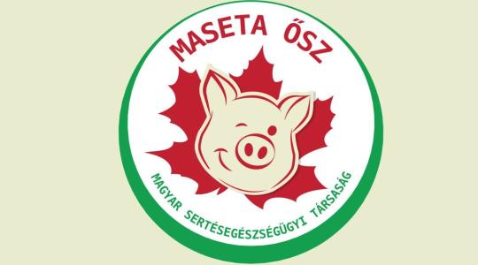 MASETA Ősz 2025 MASETA Ősz 2025