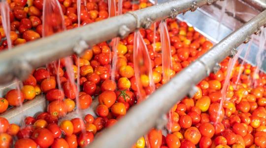 Mennyi vizet használ el az élelmiszeripar – és miért fontos ez?