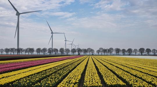 Furcsa kérés a holland kormánytól – Hiába a napelem, ha a hálózat a gyenge láncszem Furcsa kérés a holland kormánytól – Hiába a napelem, ha a hálózat a gyenge láncszem