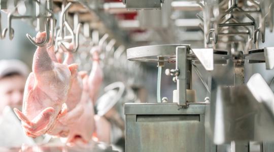 Rá se merünk nézni az árcédulára, úgy megugrottak a baromfi- és tojásárak