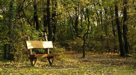 Időjárás: Mintha nem is november közelegne +VIDEÓ Időjárás: Mintha nem is november közelegne +VIDEÓ