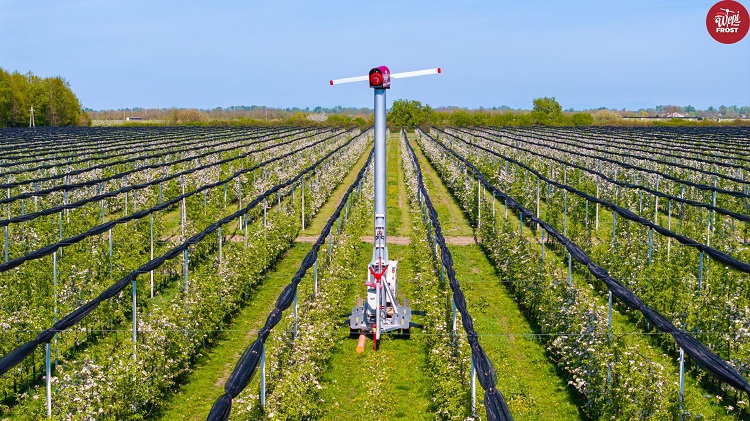 fagyvédelem fagyvédelem