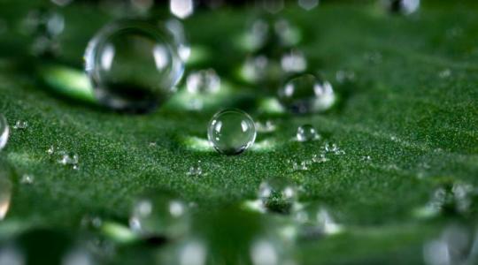 A gazdákat segíti a magyar találmány: csak ki kell permetezni A gazdákat segíti a magyar találmány: csak ki kell permetezni