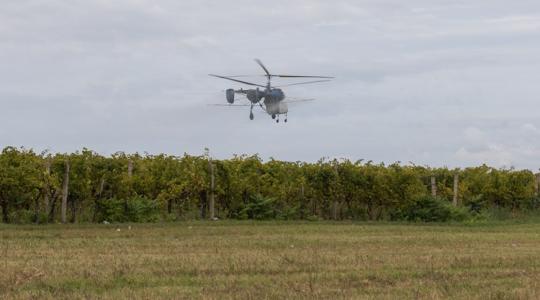 Harc a szőlőkabócával: Helikopterekről permeteztek ebben a dunántúli megyében Harc a szőlőkabócával: Helikopterekről permeteztek ebben a dunántúli megyében