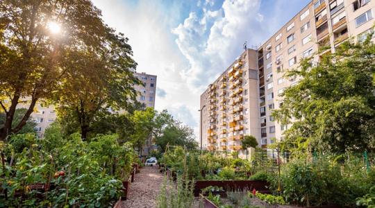 Ez lett Magyarország legszebb konyhakertje