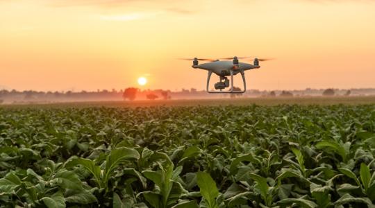 Vadkárfelderítés: ez a drón napi 24 órában repül, önmagát tölti és adatokat küld Vadkárfelderítés: ez a drón napi 24 órában repül, önmagát tölti és adatokat küld