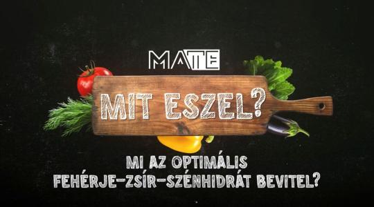 Testre szabott táplálkozás: mikor mennyi fehérje, zsír, szénhidrát kell? Testre szabott táplálkozás: mikor mennyi fehérje, zsír, szénhidrát kell?