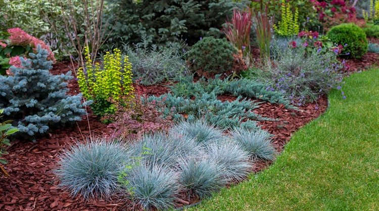 kek levelu kek levelu